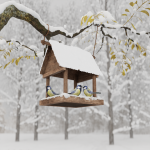 V5_259_CALEDECEMBRE002
