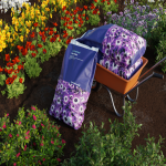 SEO_416_COMMENCEJARDIN003